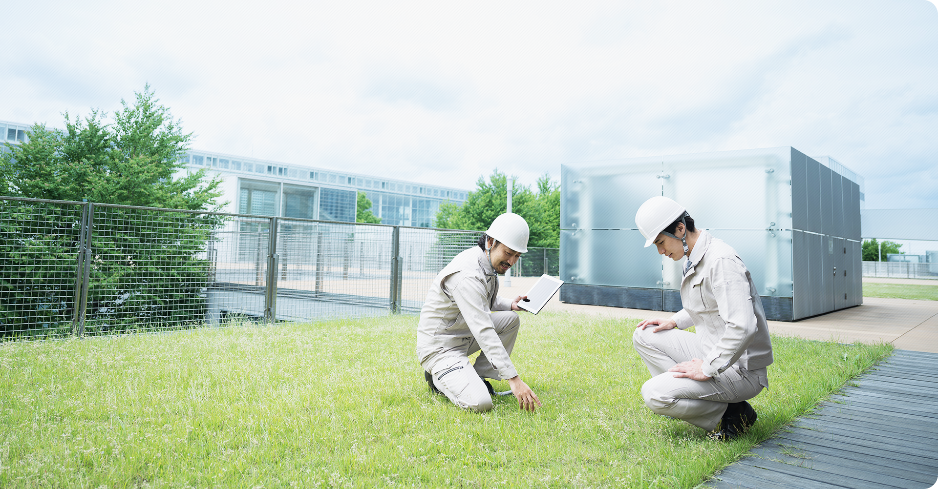 伐採・剪定・特殊伐採、植栽・外構工事・屋上菜園、不用品回収なら早稲田技研へ