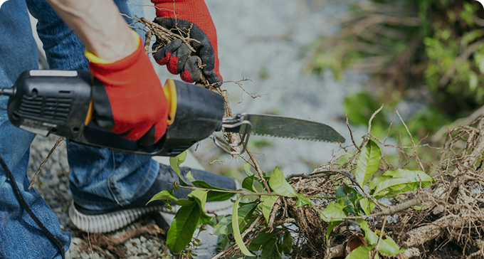 株式会社早稲田技研 枝落とし