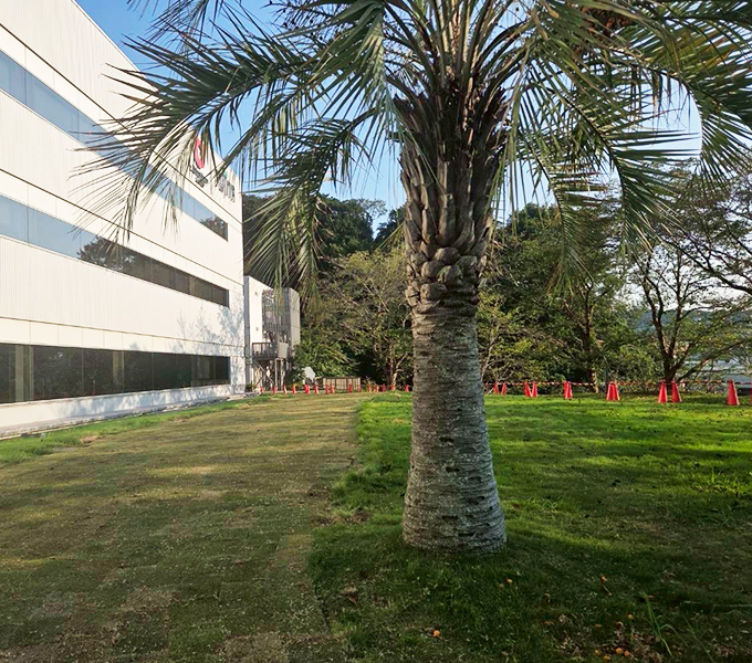 株式会社早稲田技研の事業実績 植栽工事